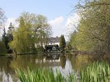 Dove Elbe.JPG